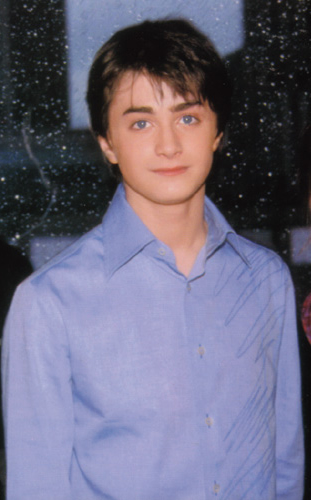 hotdan1.jpg
